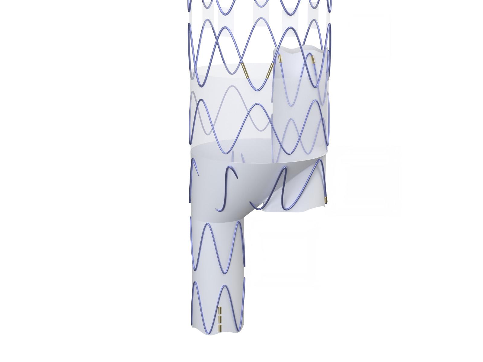 Dissection CMD - Assembly View 2